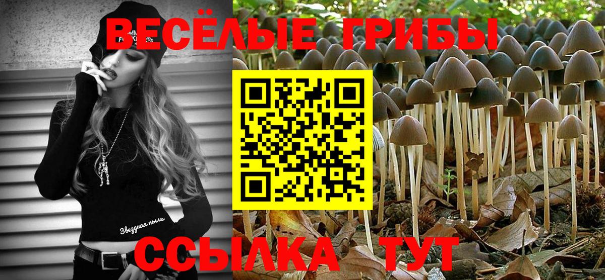 Галлюциногенные грибы ЛСД  Вход с VPN  Димитровград  Псилоцибиновые грибы GOLDEN TEACHER 